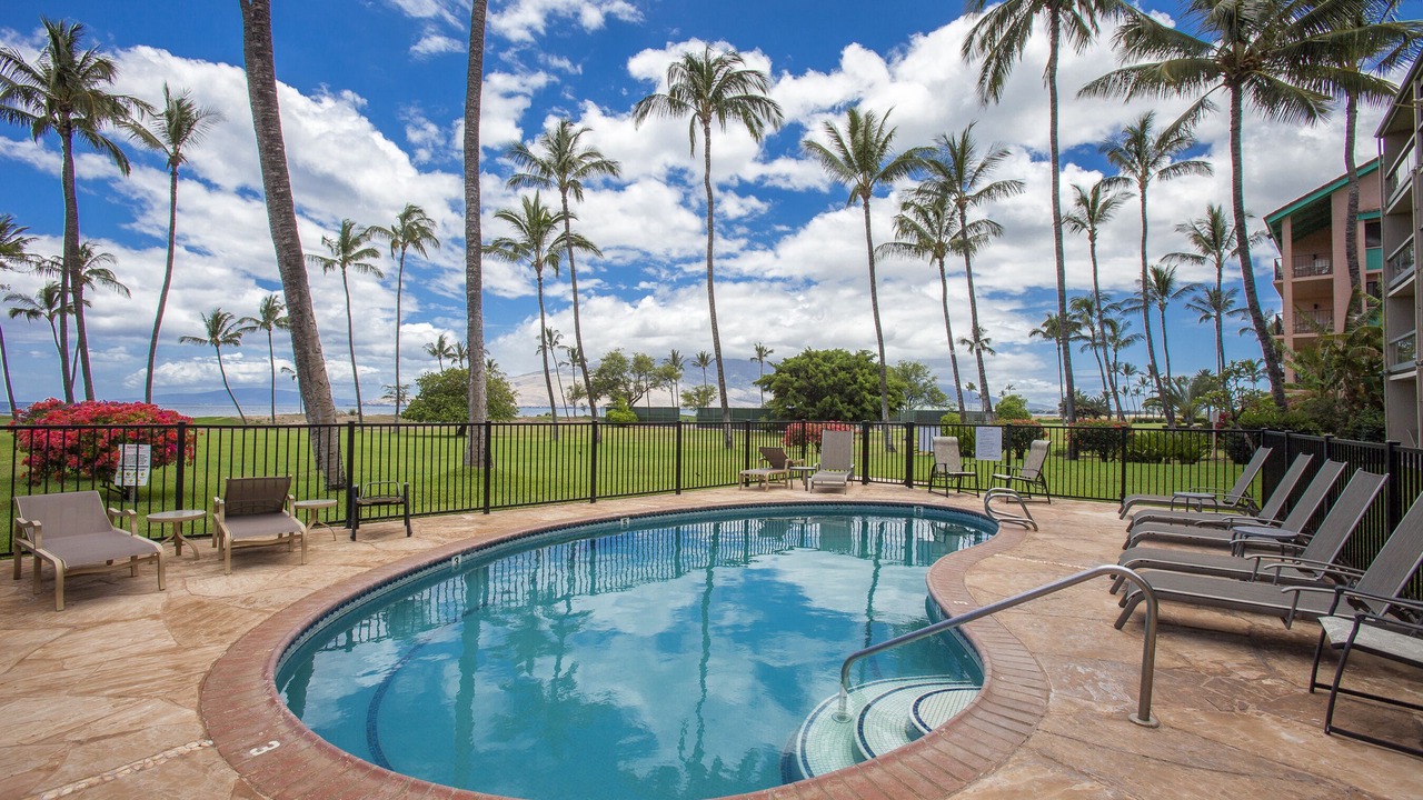 Photo of Others in Kihei