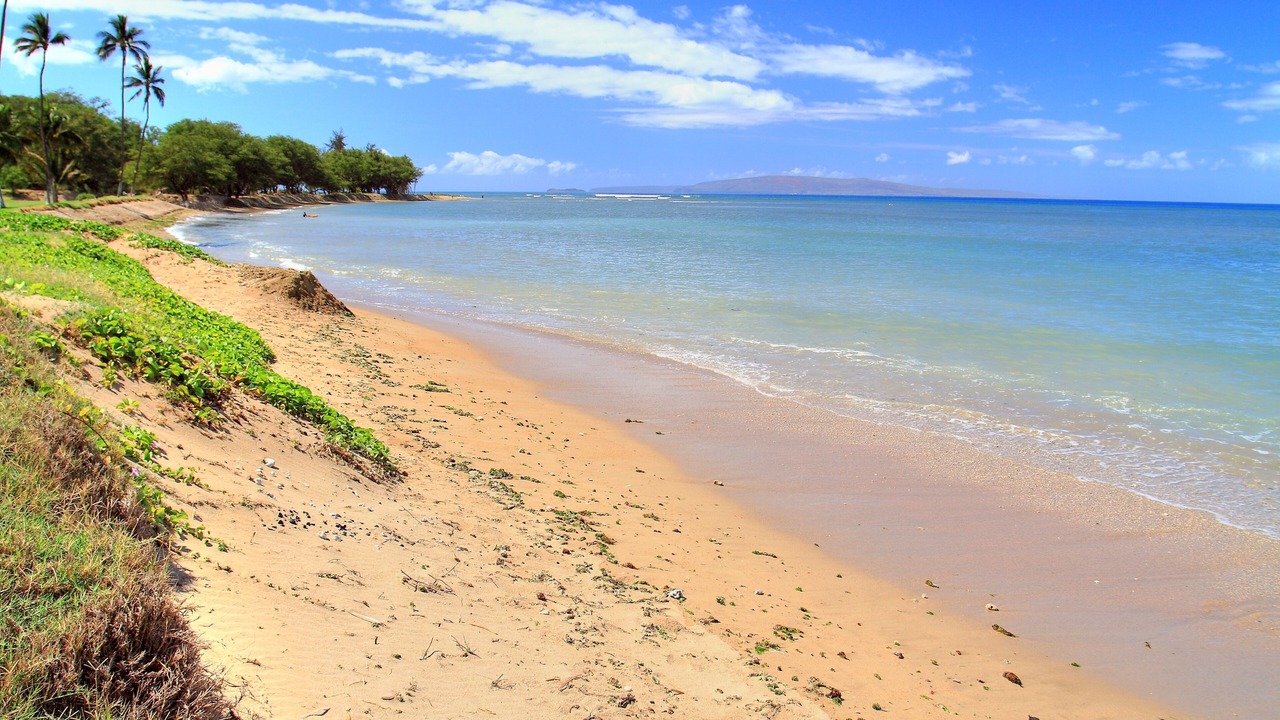 Photo of Others in Kihei