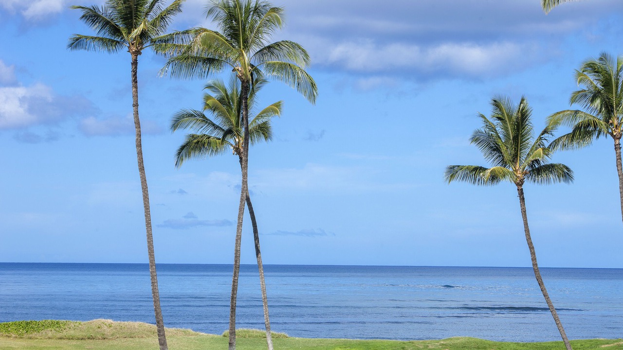 Photo of Others in Kihei