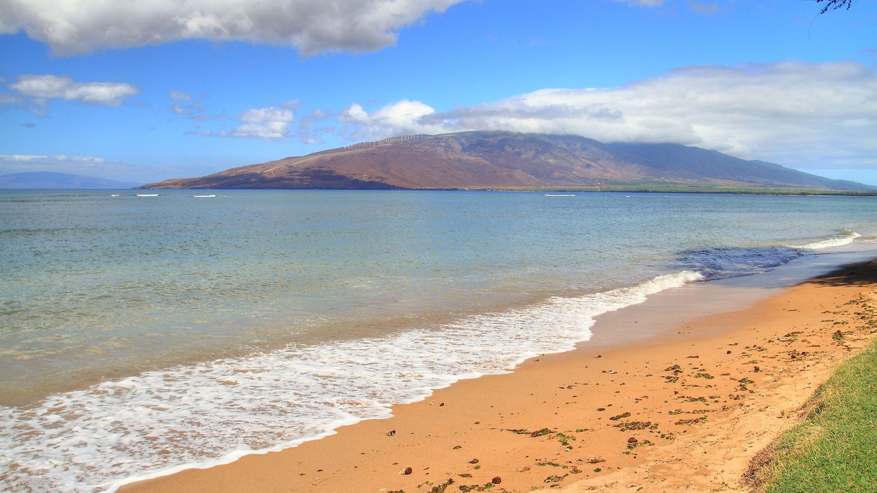 Photo of Others in Kihei