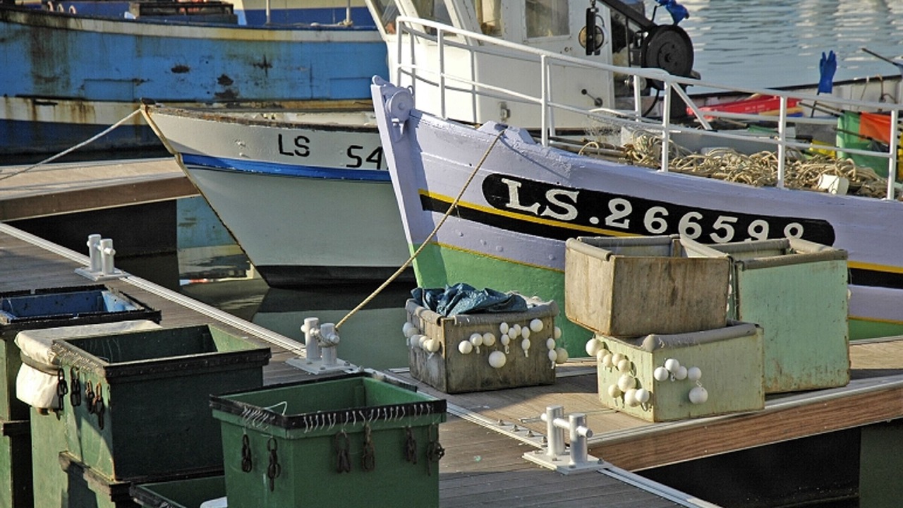 Photo of Others in Les Sables d'Olonne