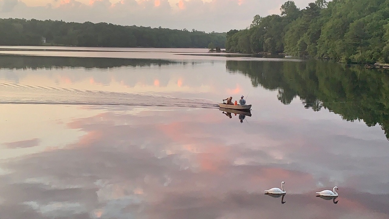 Photo of Others in Rockville