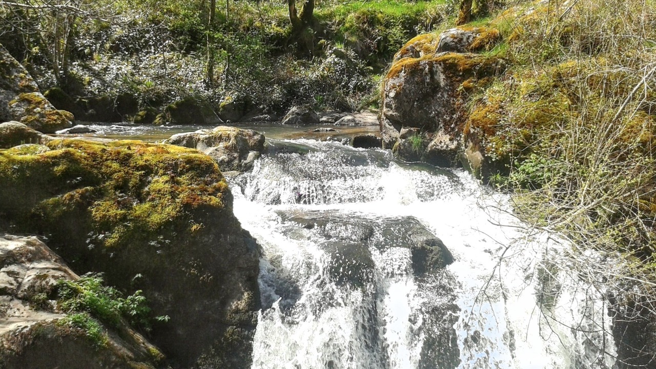 Photo of Others in Peyrusse-le-Roc