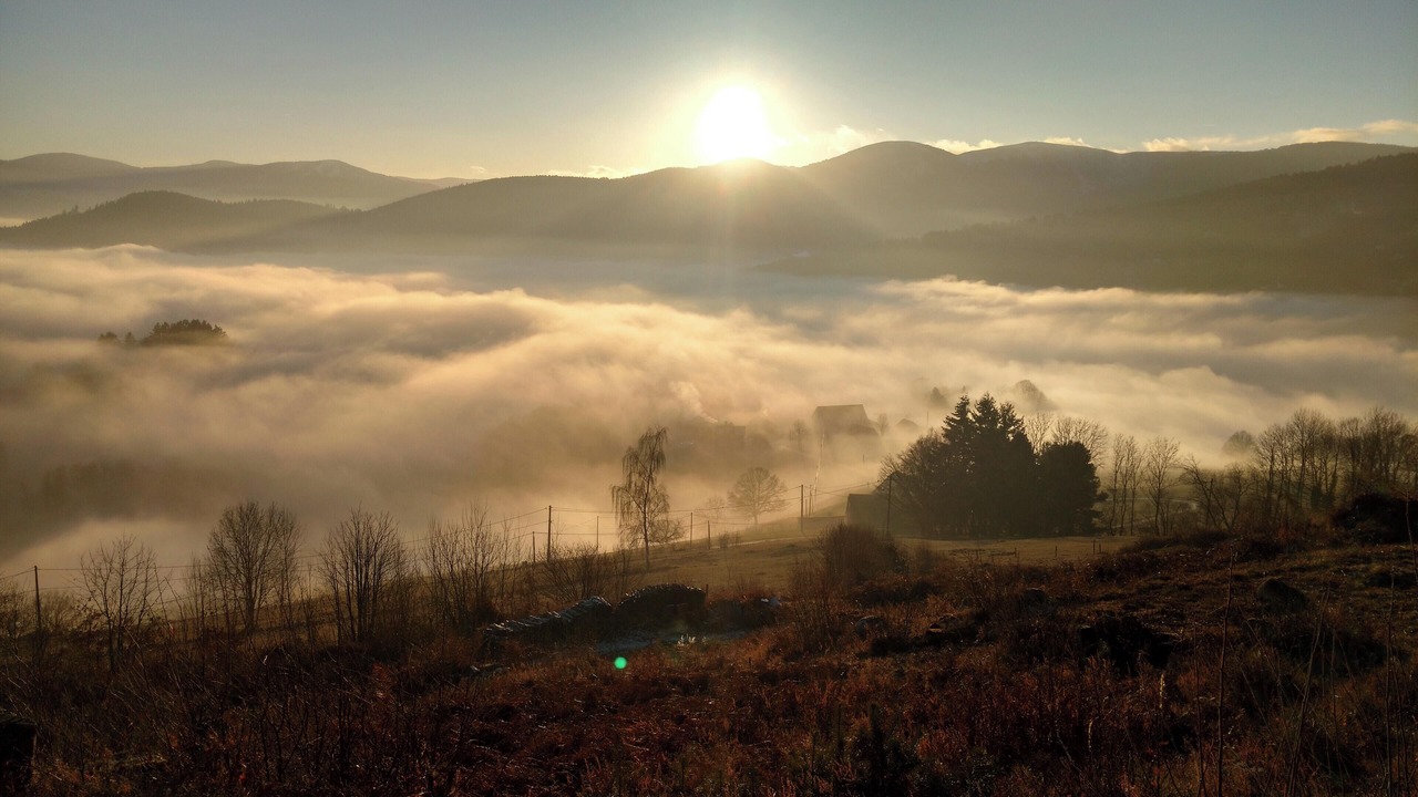 Photo of Others in Soultzeren