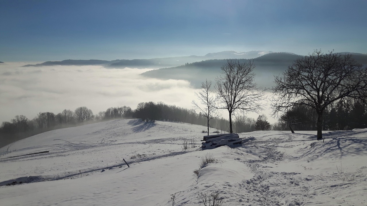 Photo of Outdoor in Soultzeren