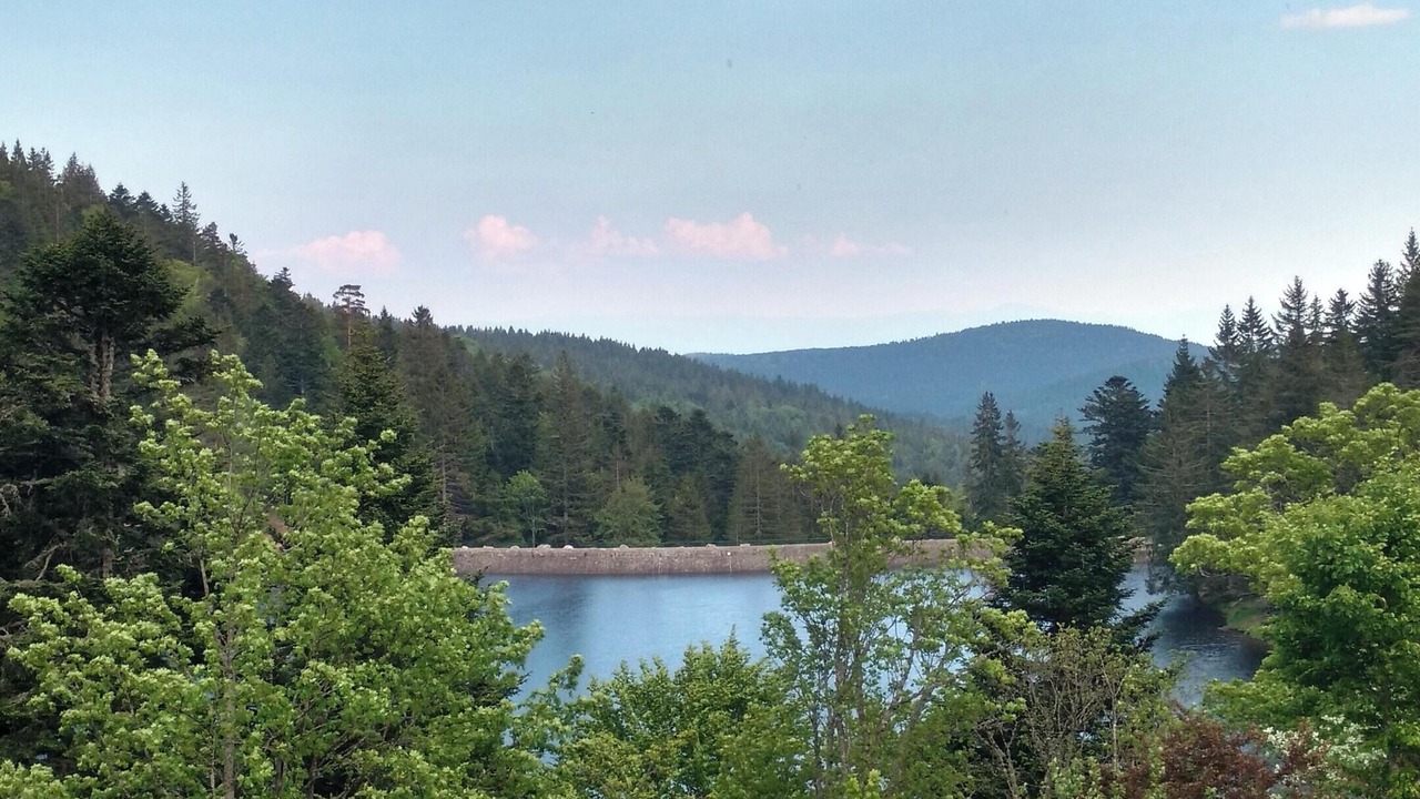 Photo of Others in Soultzeren