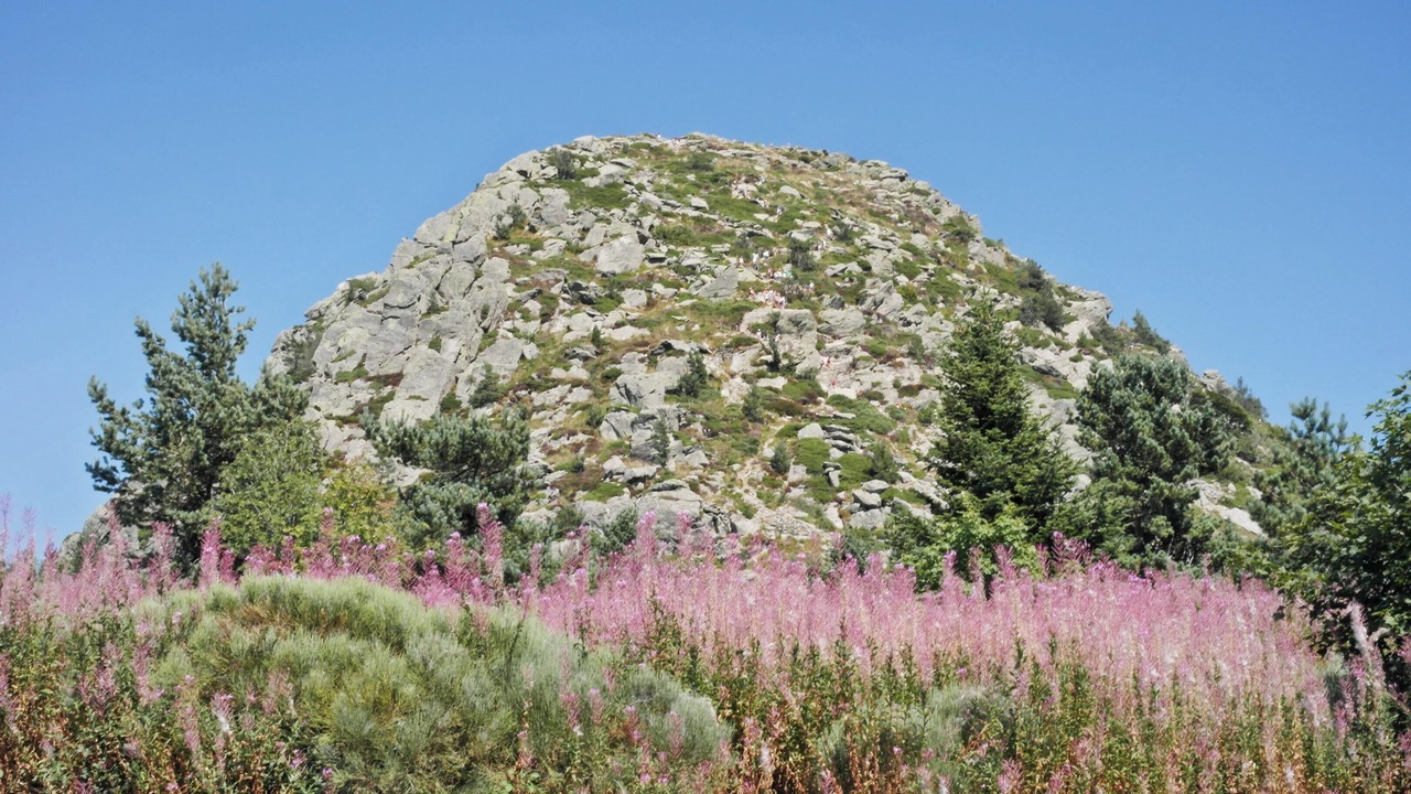 Photo of Others in Saint-Basile