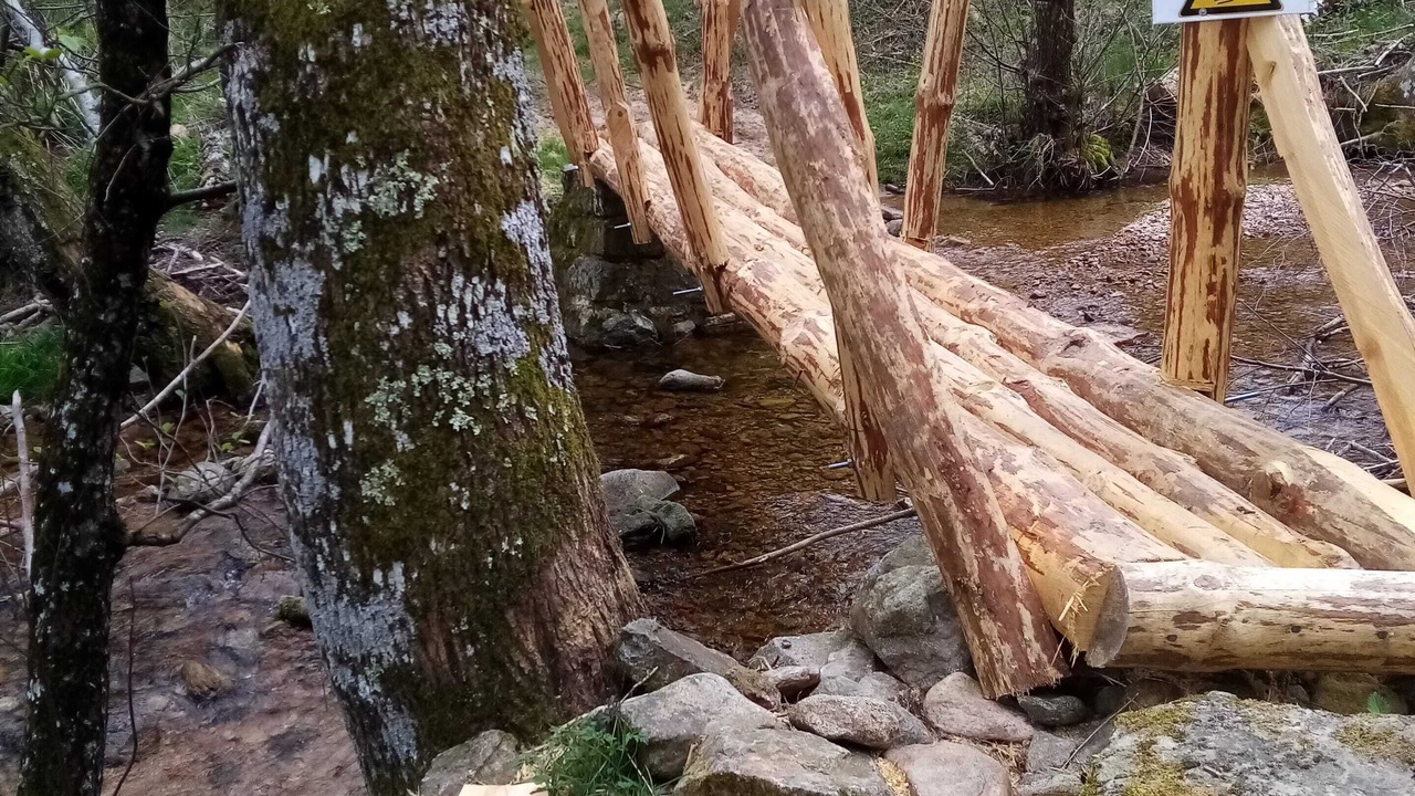 Photo of Others in Saint-Basile