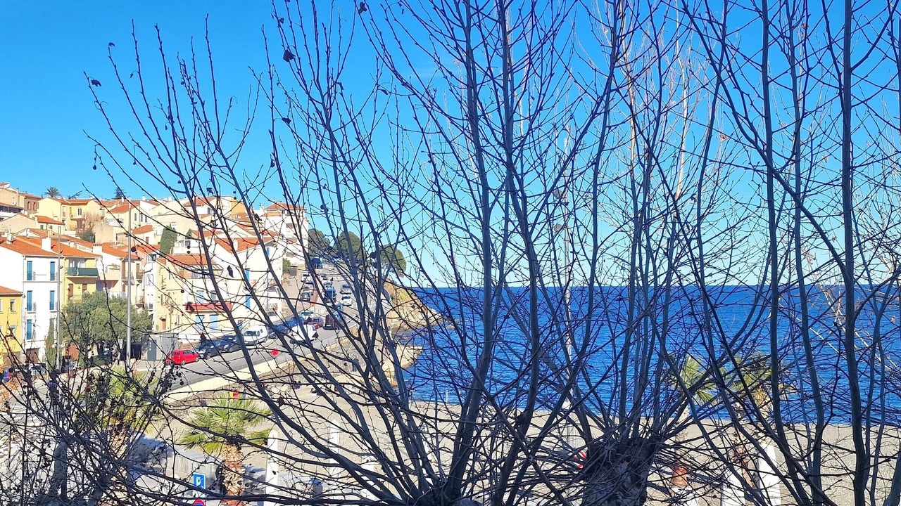 Photo of Bedroom in Banyuls-sur-Mer