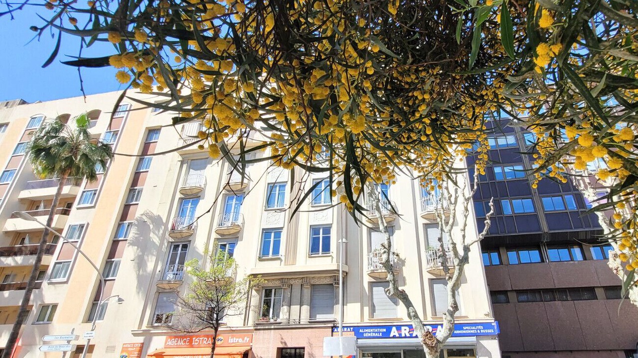 Photo of Outdoor in Nice City Centre