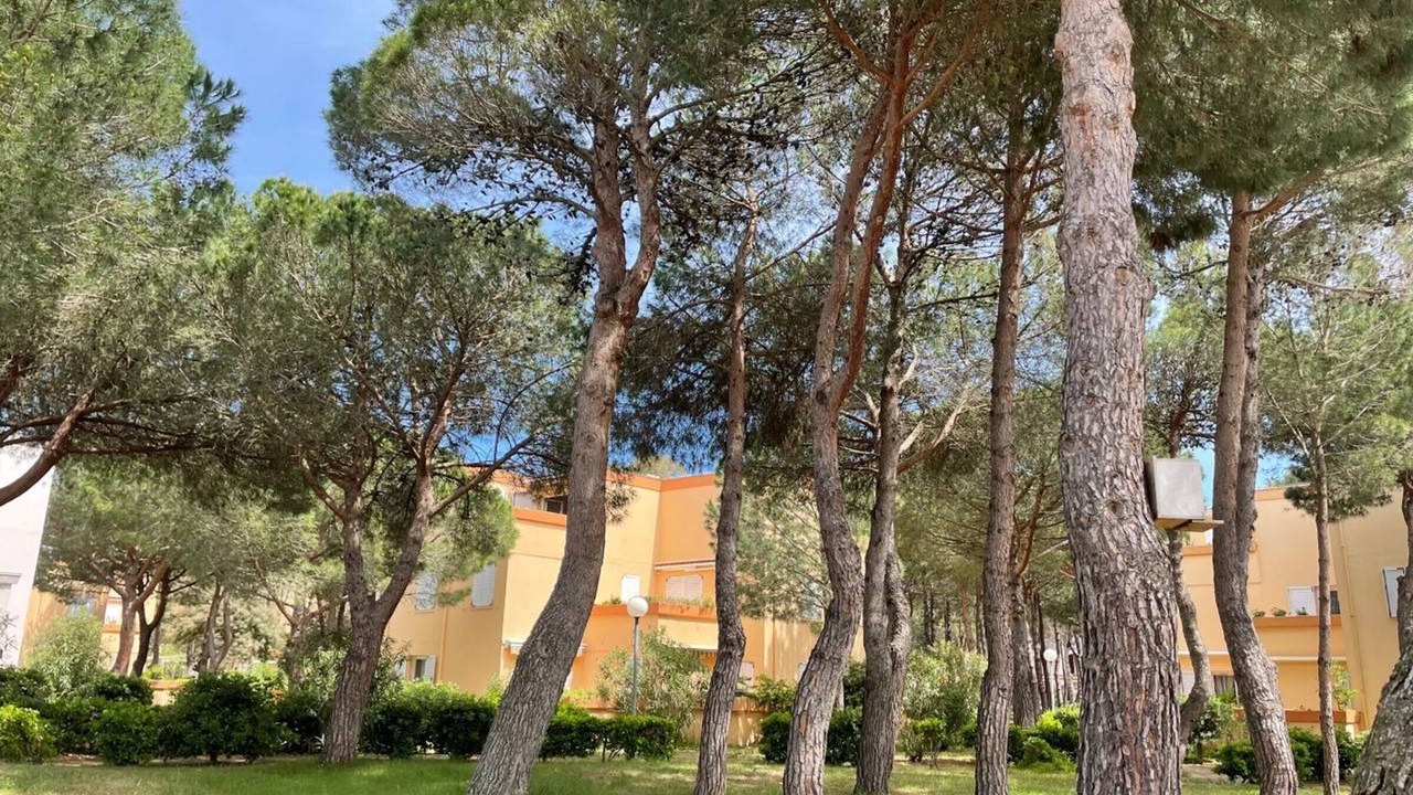 Photo of Outdoor in Argeles-sur-Mer