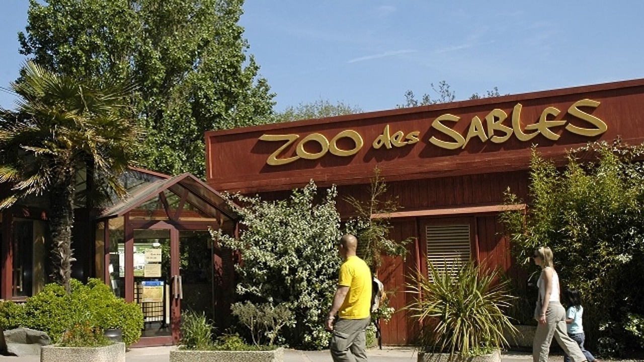 Photo of Others in Les Sables d'Olonne