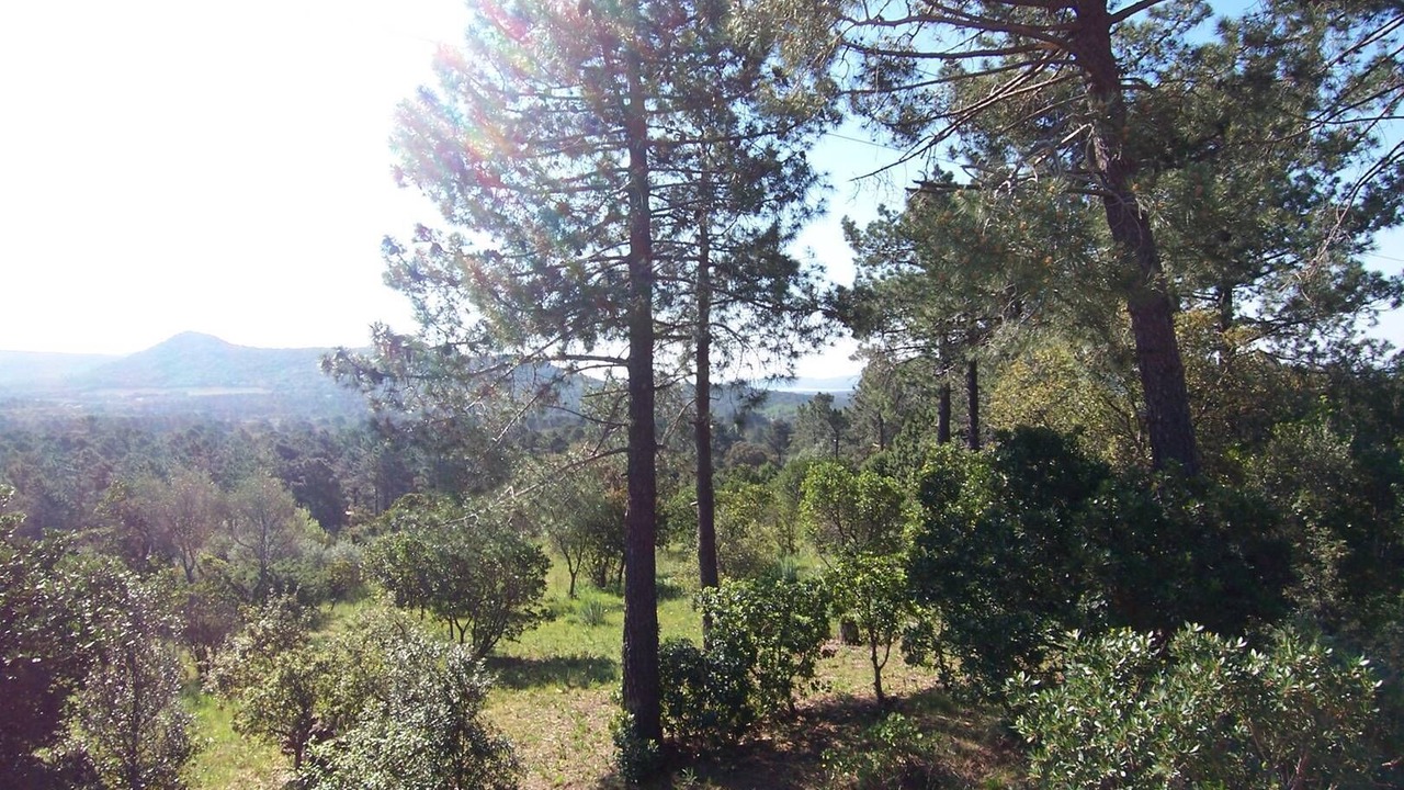 Photo of Outdoor in Lecci