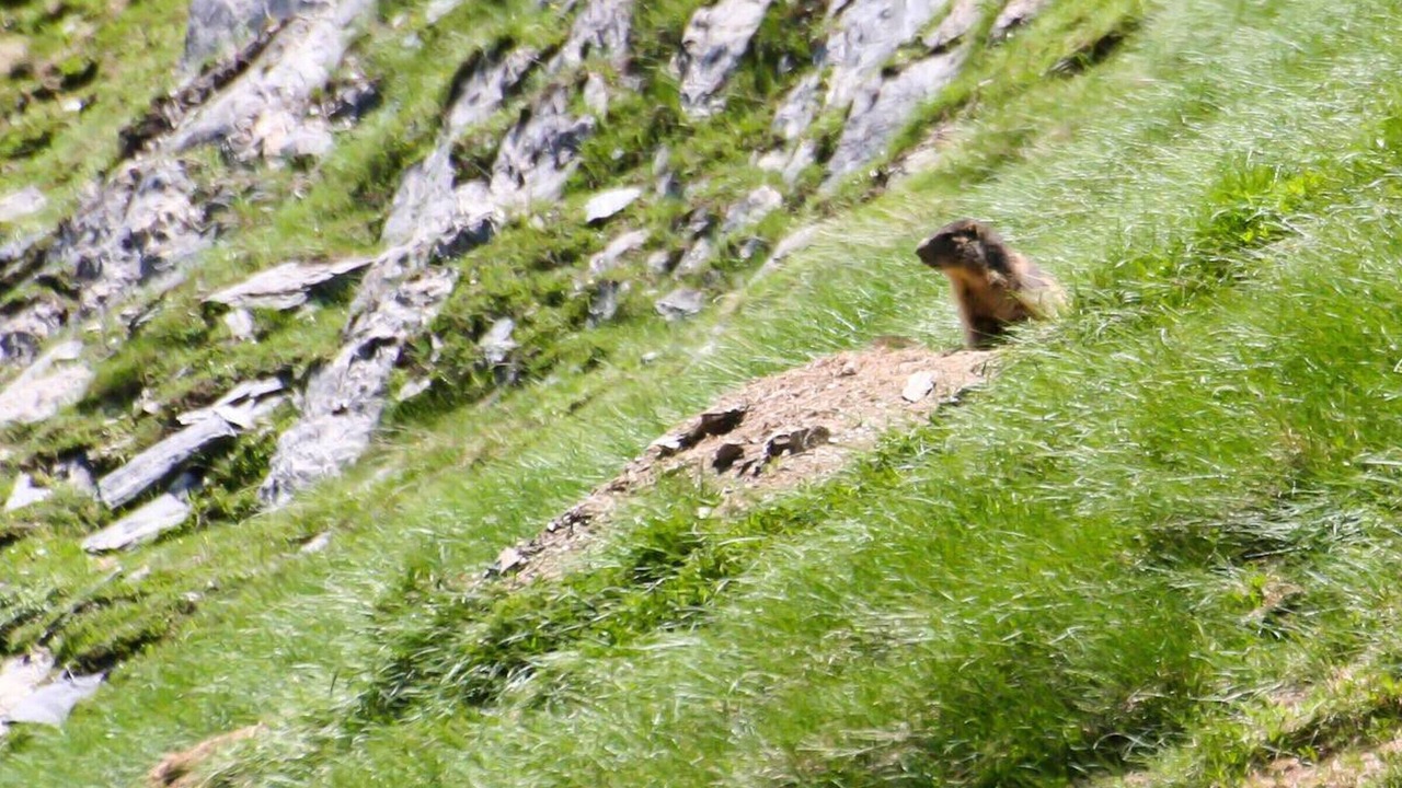 Photo of Others in Cauterets