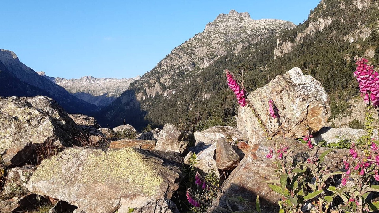 Photo of Outdoor in Cauterets