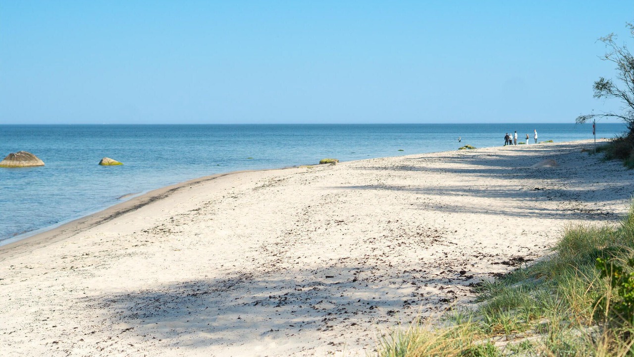 Photo of Others in Ronne