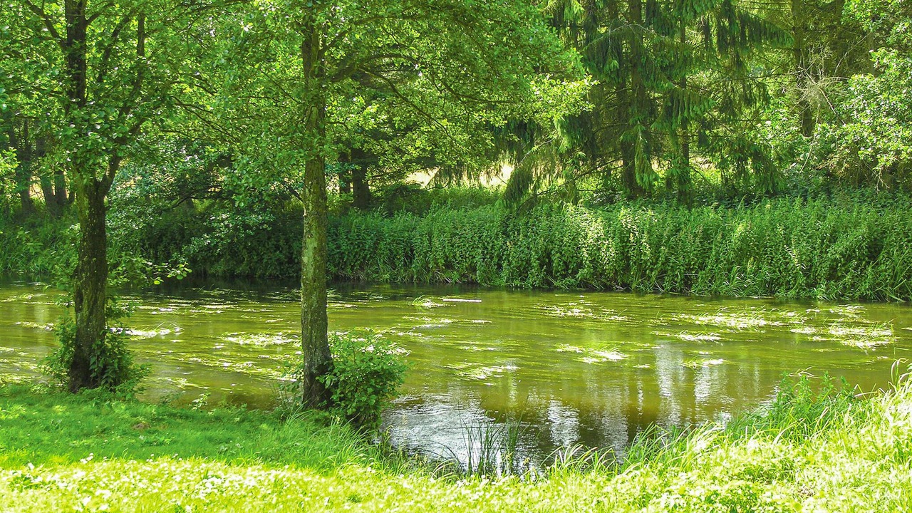 Photo of Others in Ostbirk