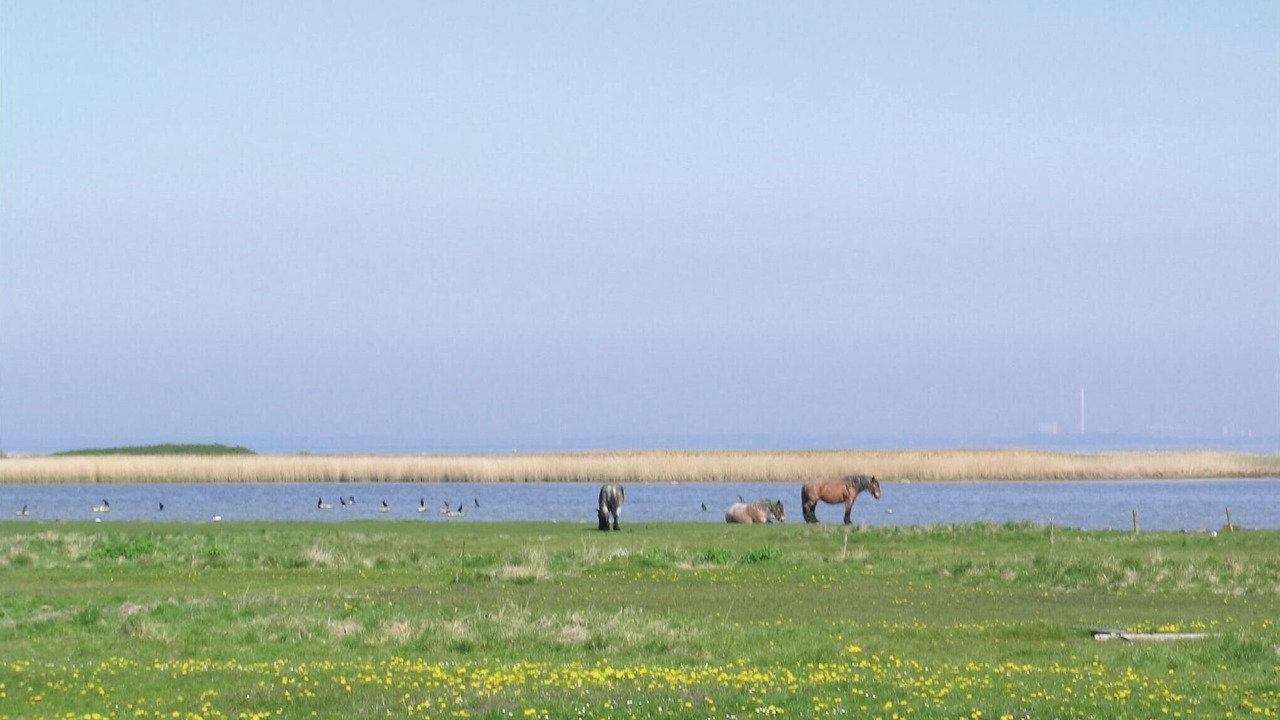 Photo of Others in Reersø