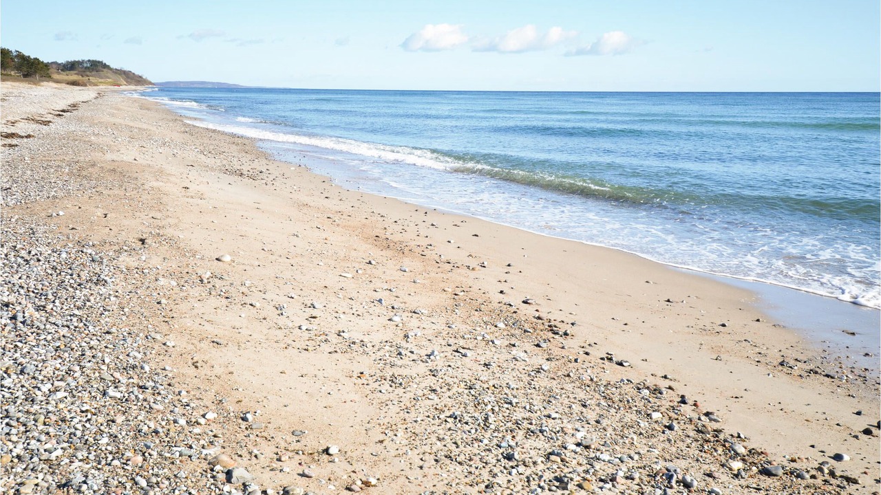 Photo of Others in Elsegarde Strand