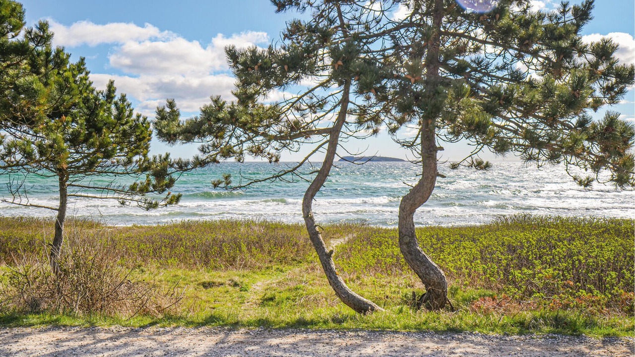 Photo of Others in Elsegarde Strand
