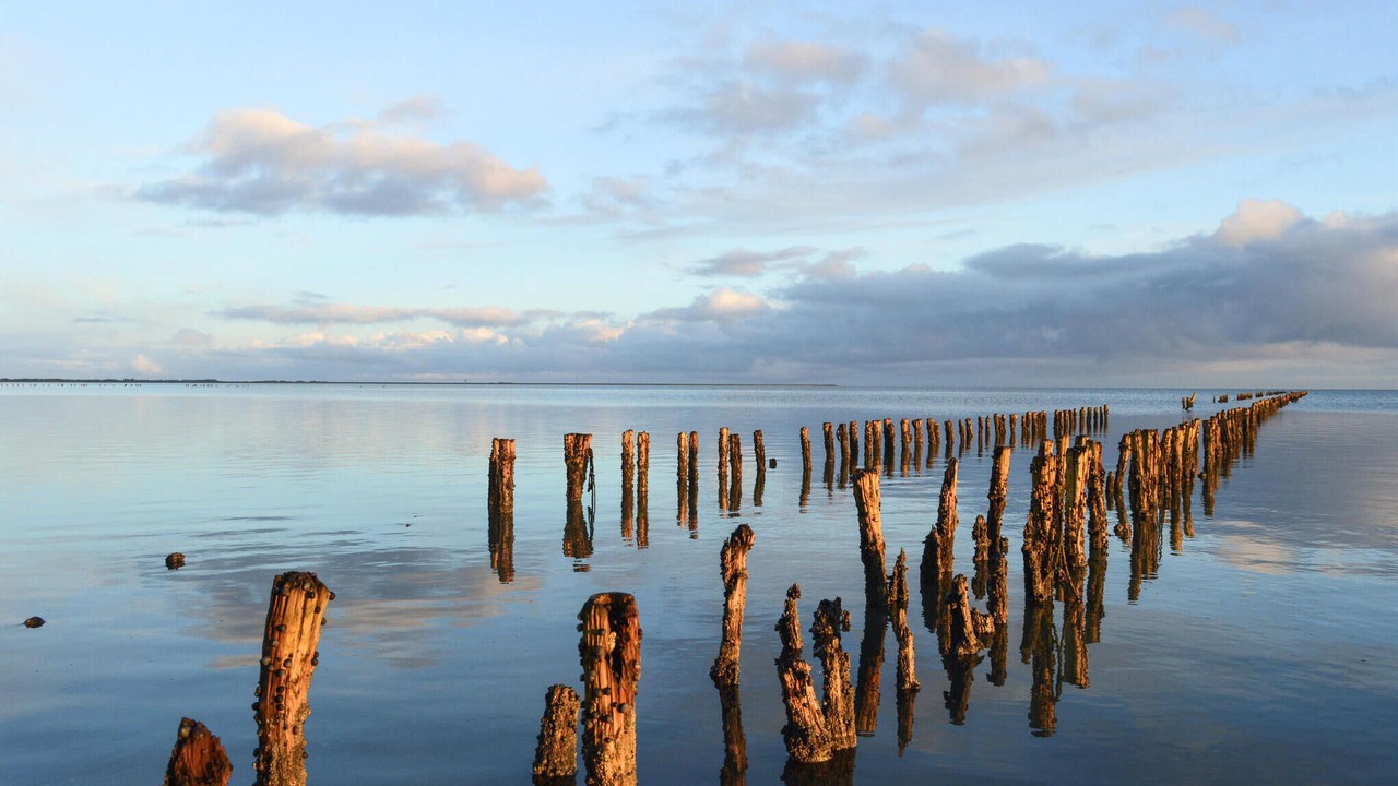 Photo of Others in Bolilmark