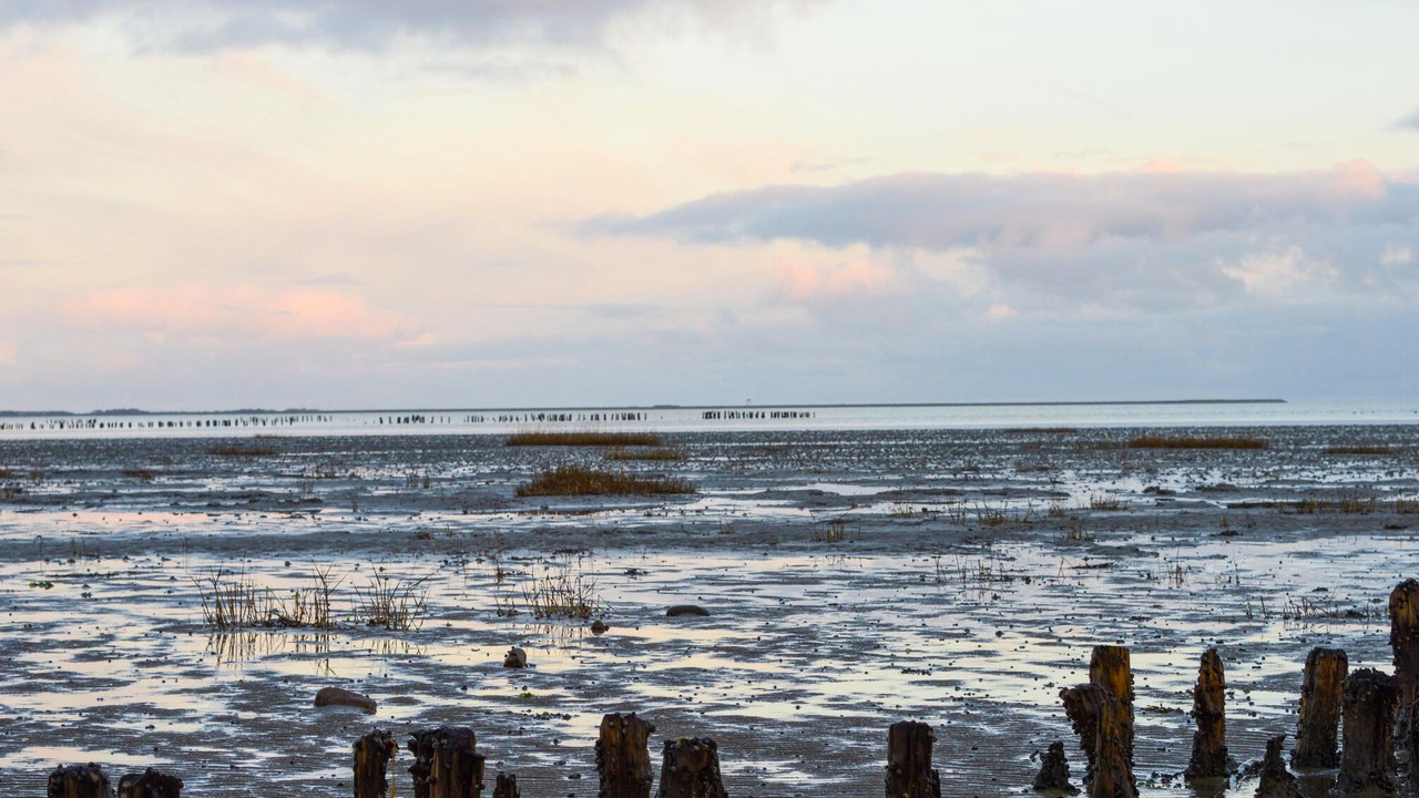 Photo of Others in Bolilmark