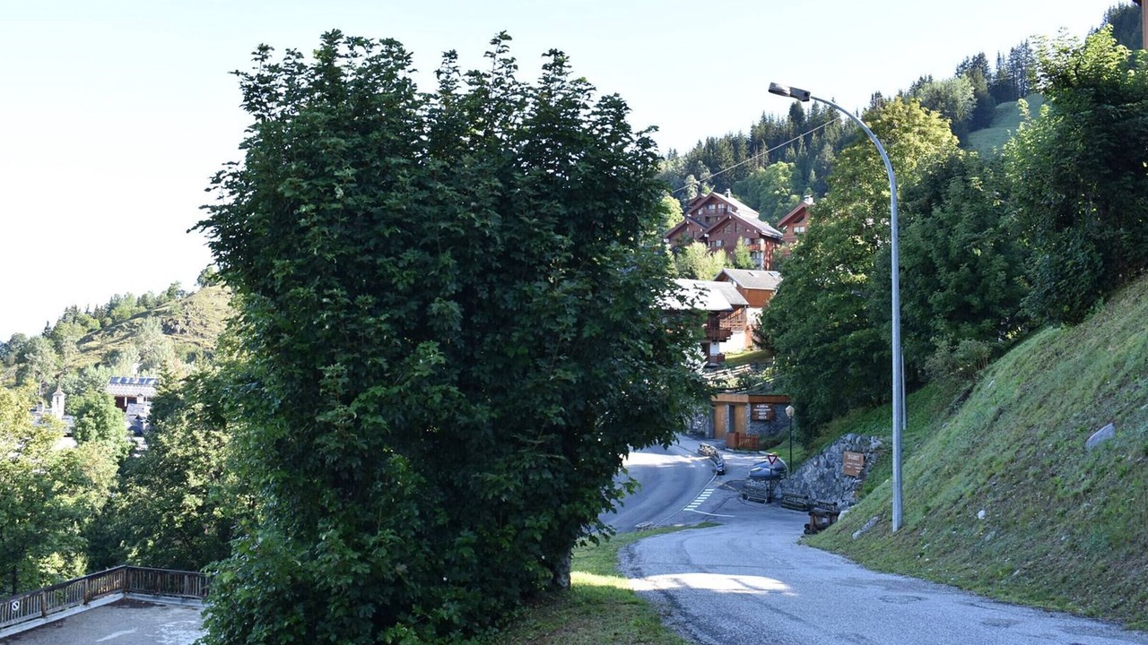 Photo of Outdoor in Meribel