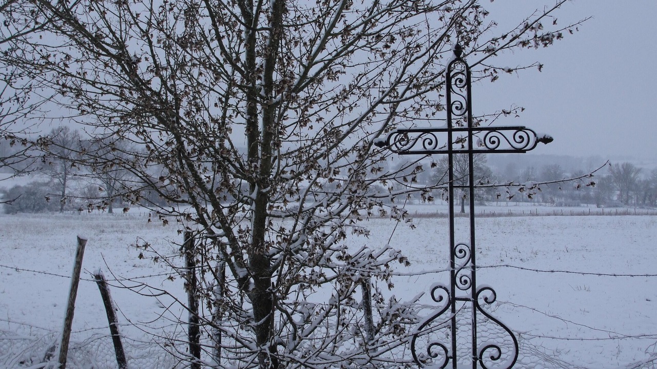 Photo of Others in Villeneuve d'Aveyron