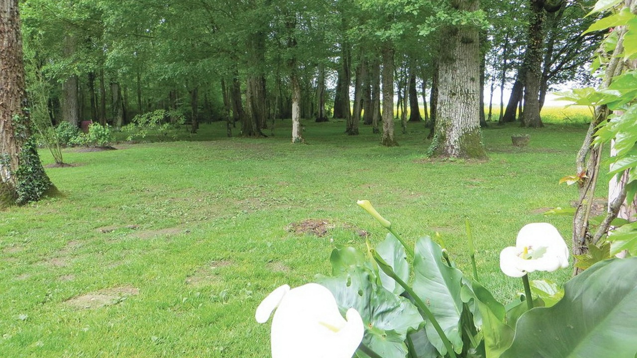 Photo of Outdoor in Saint-Branchs