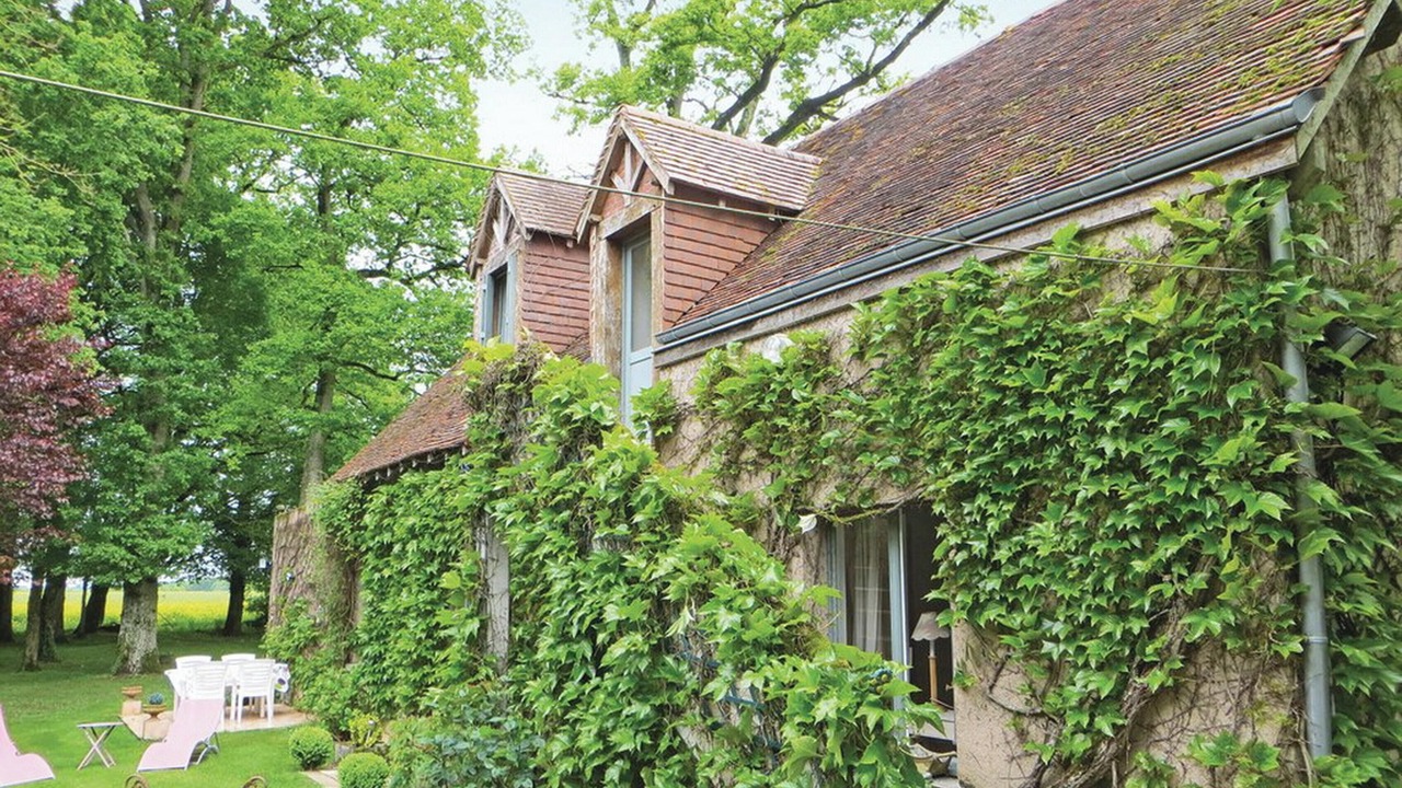 Photo of Outdoor in Saint-Branchs