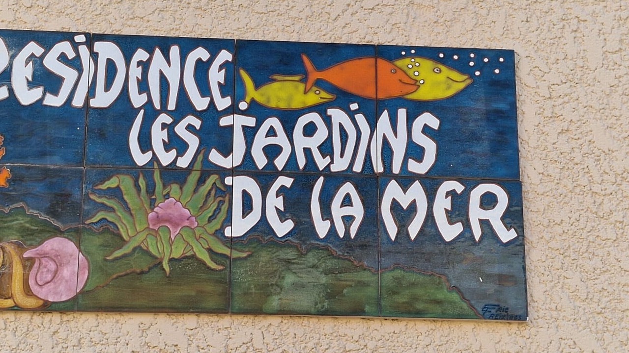 Photo of Others in Banyuls-sur-Mer