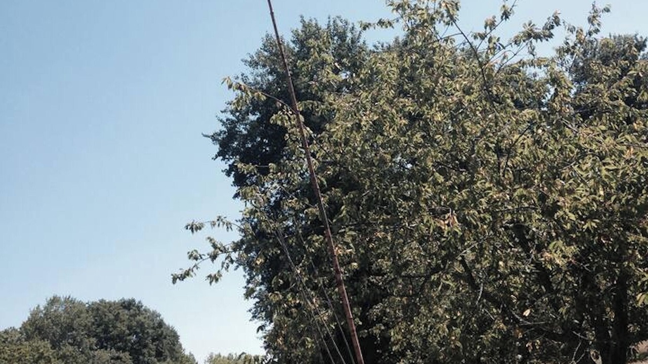 Photo of Outdoor in Bourg-le-Comte