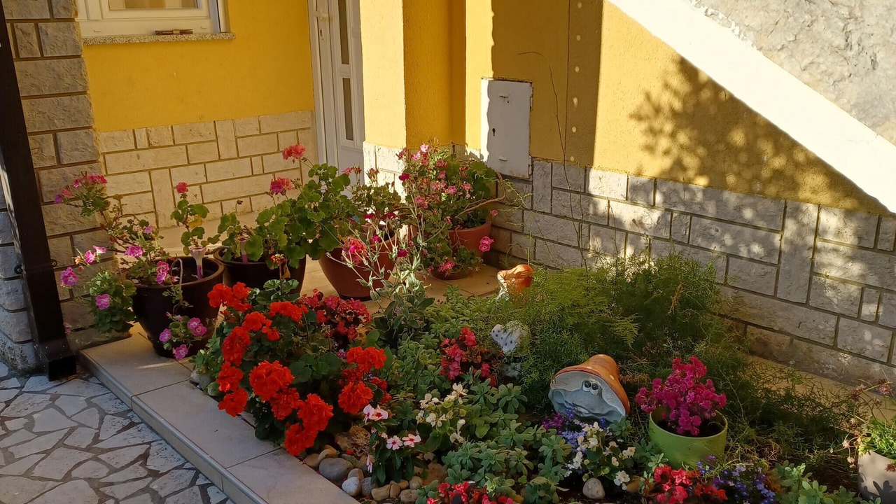 Photo of Others in Rabac