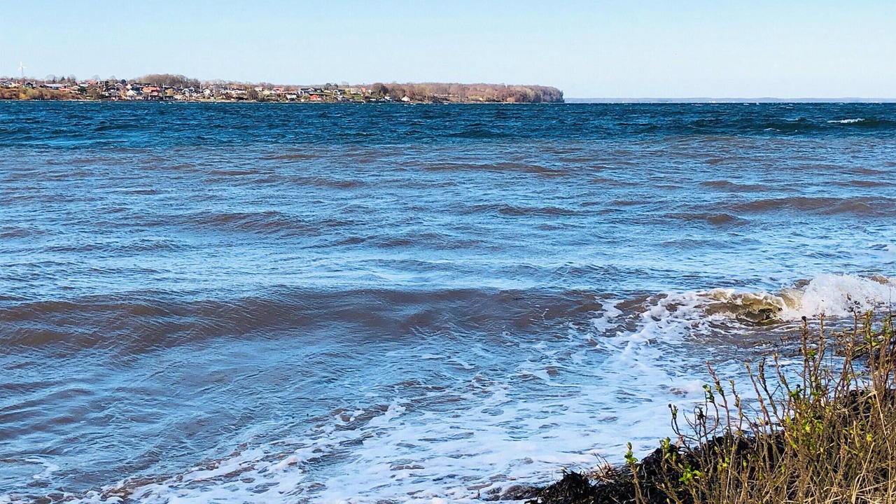 Photo of Others in Fynshav