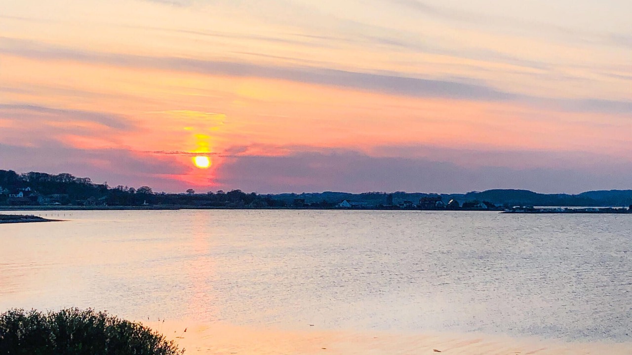 Photo of Others in Fynshav