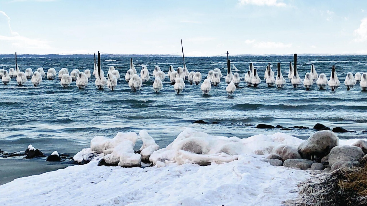 Photo of Others in Fynshav