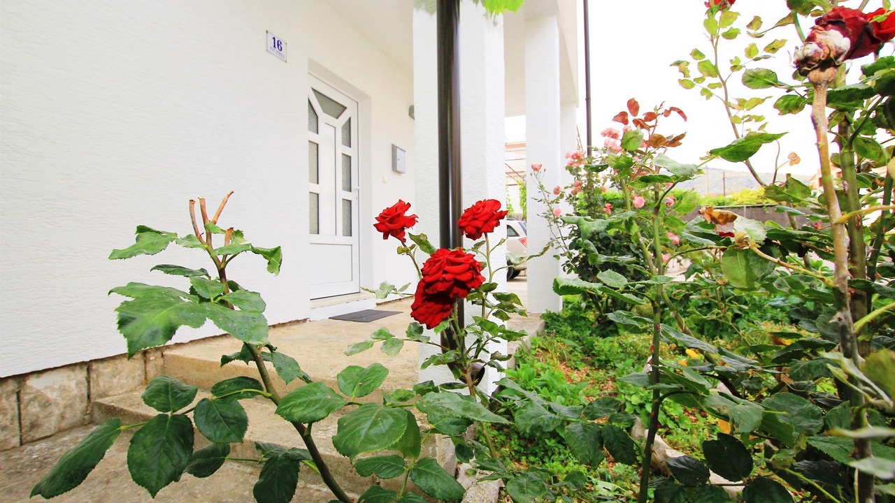 Photo of Outdoor in Trogir