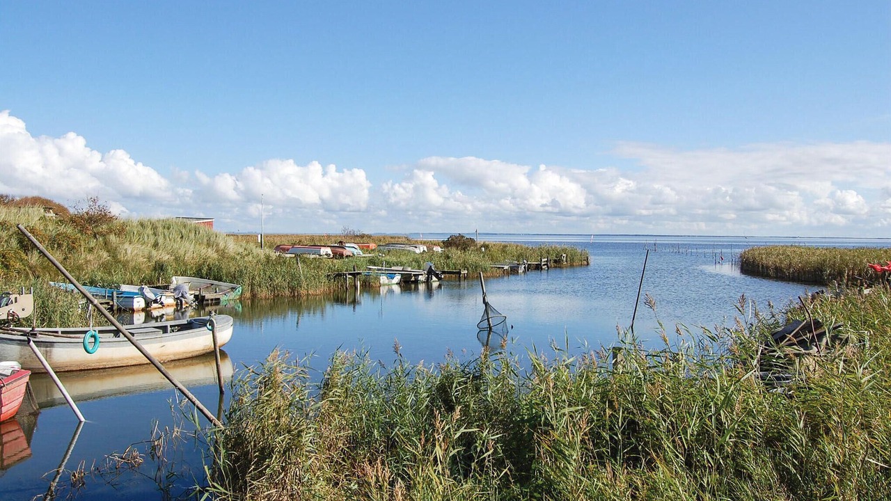 Photo of Others in Hvide Sande