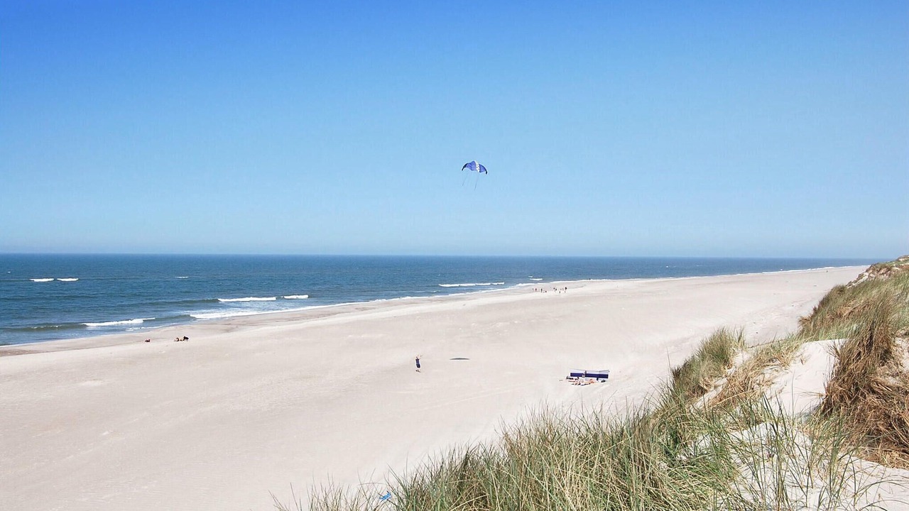 Photo of Others in Hvide Sande