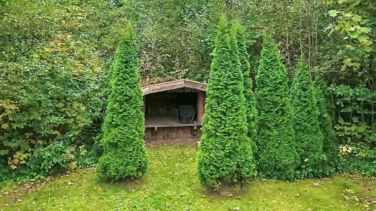 Photo of Others in Jegum