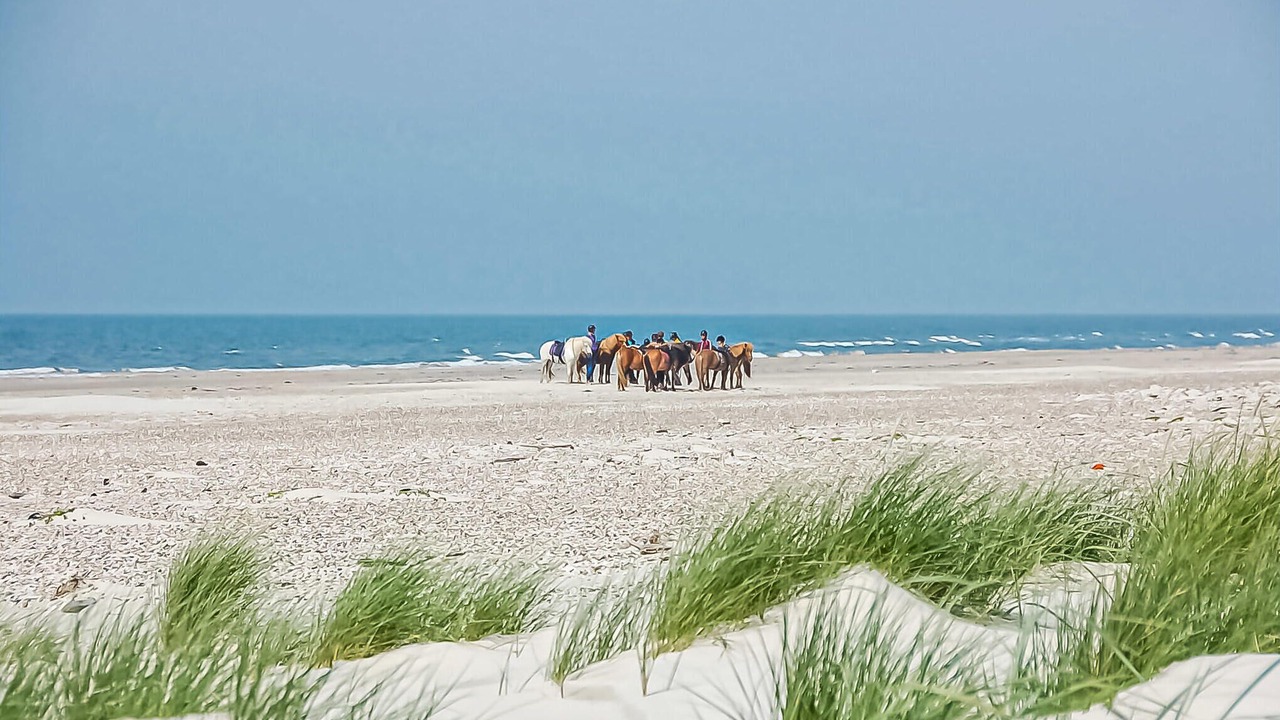 Photo of Others in Ho