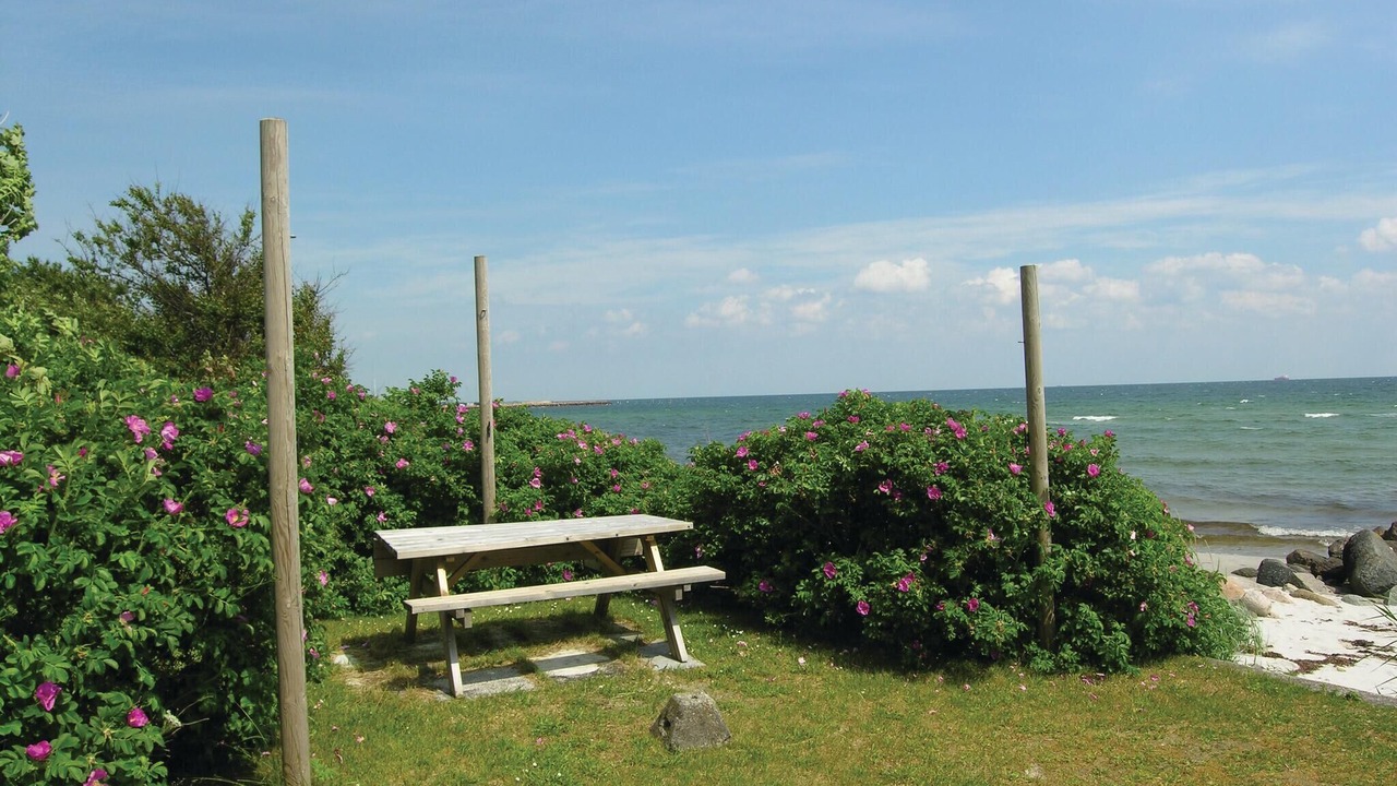 Photo of Others in Rudkobing