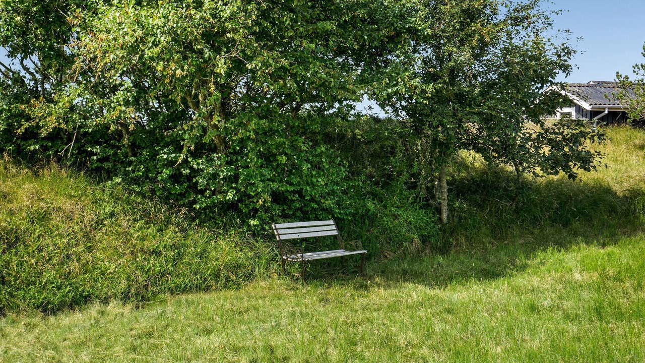Photo of Others in Sønderho
