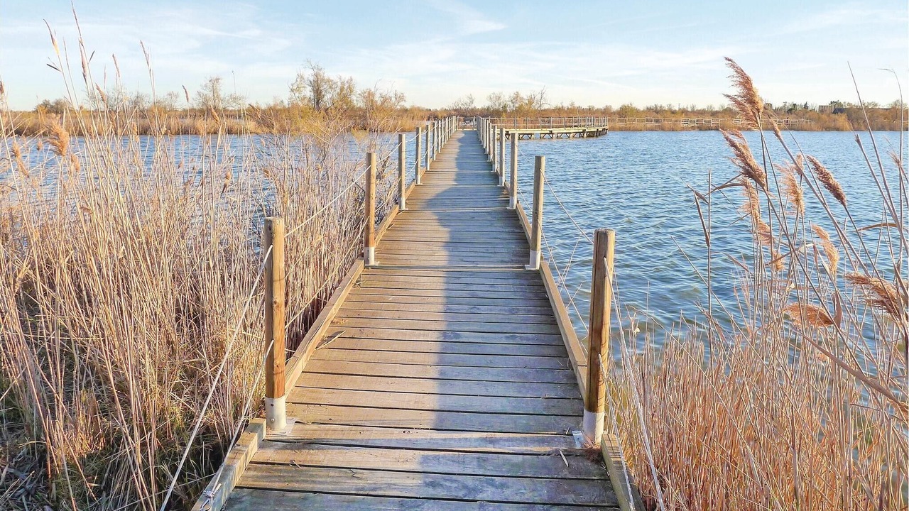 Photo of Others in Aigues-Mortes