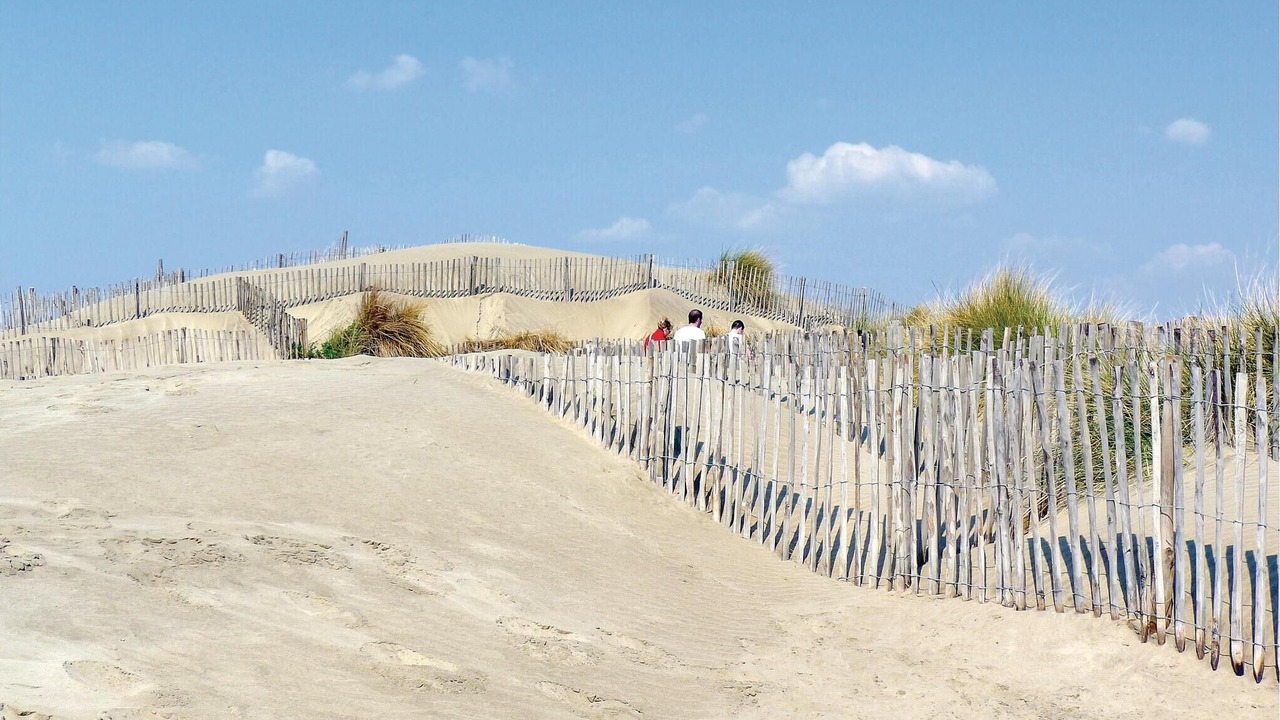 Photo of Others in Aigues-Mortes