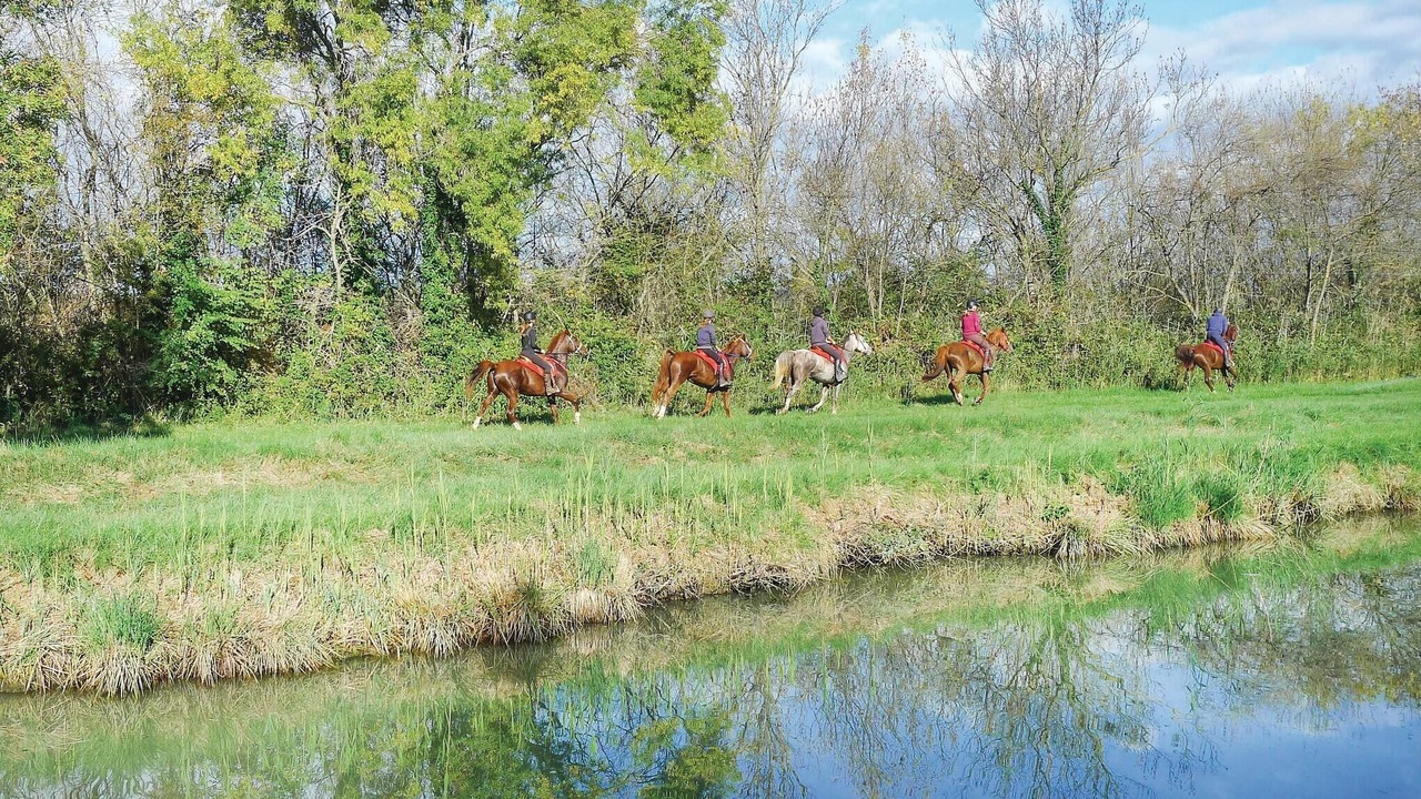 Photo of Others in Aigues-Mortes