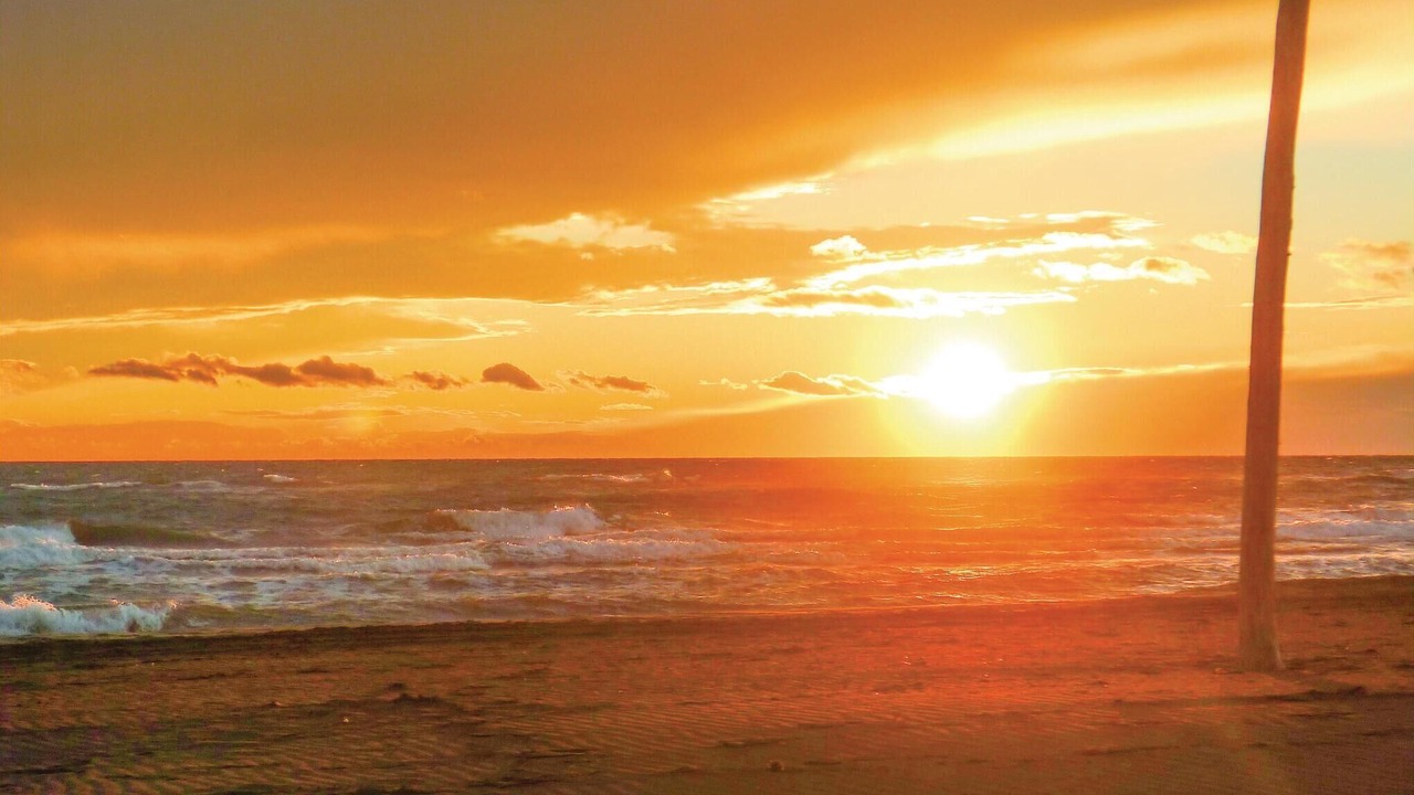 Photo of Others in Aigues-Mortes