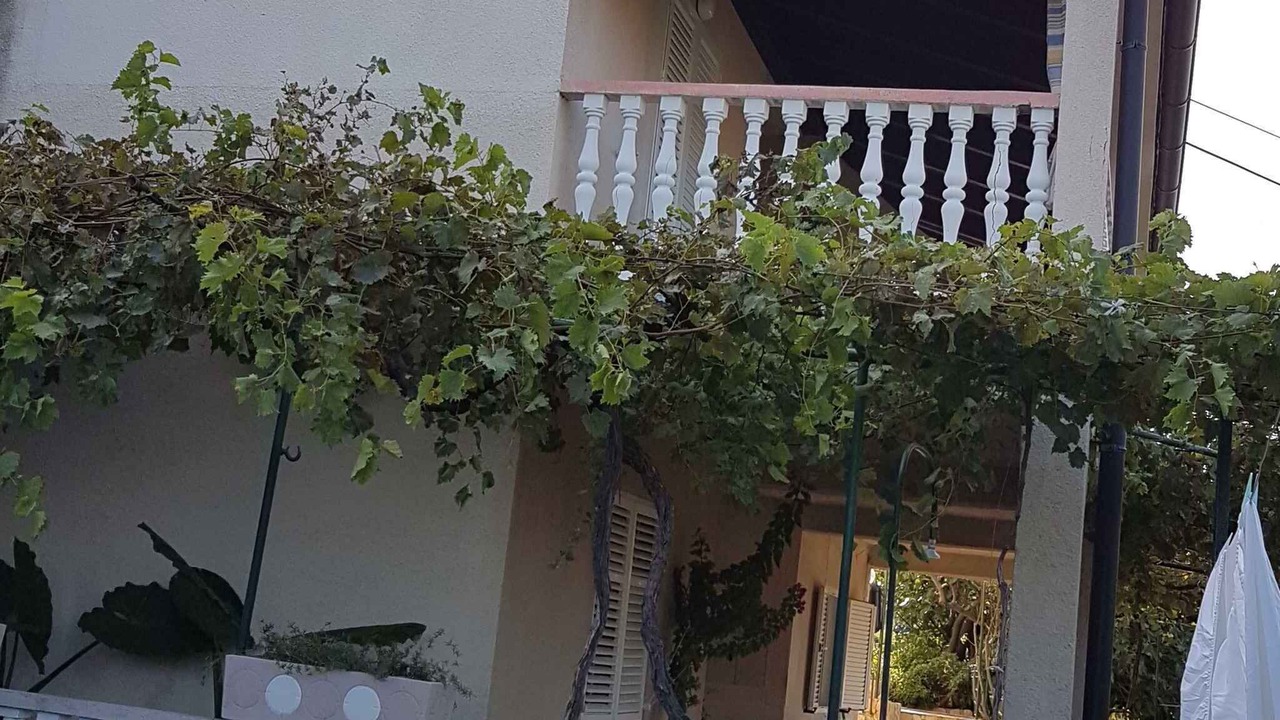 Photo of Outdoor in Lopar
