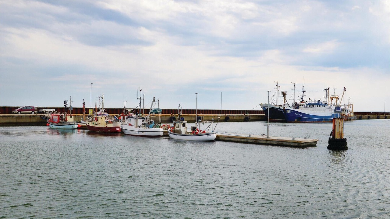Photo of Others in Harboore