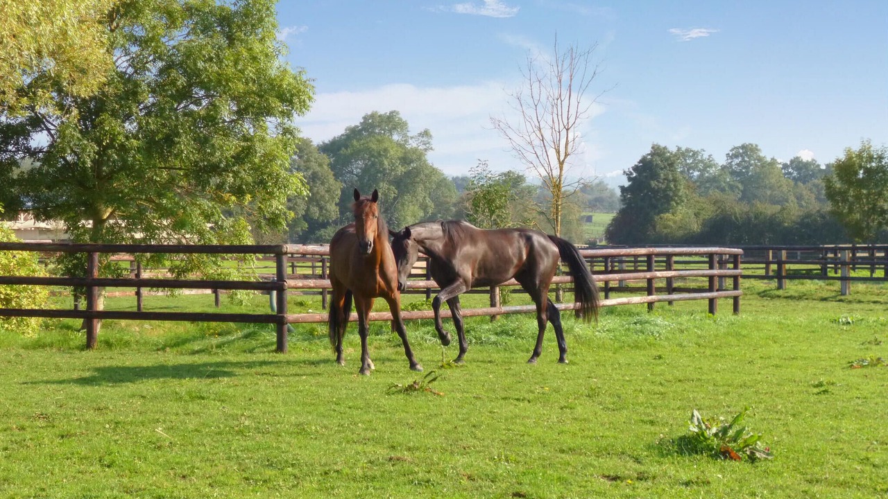 Photo of Others in Boissey